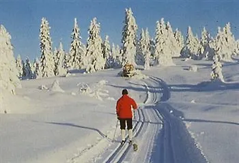 Отель Valdres Hoyfjellshotell
