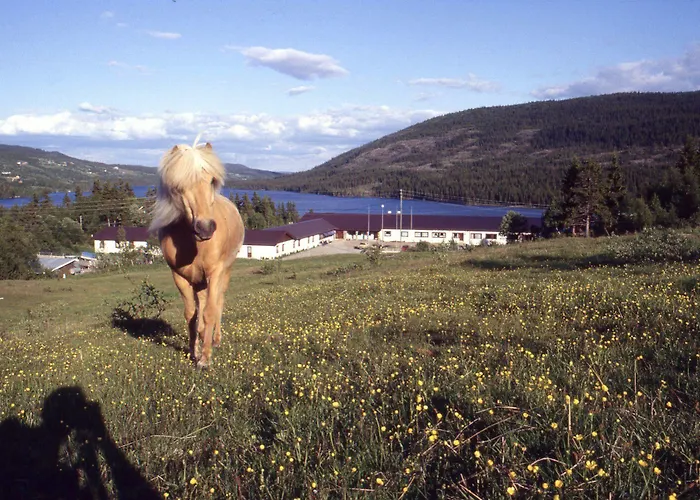 Valdres Hoyfjellshotell