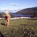 Valdres